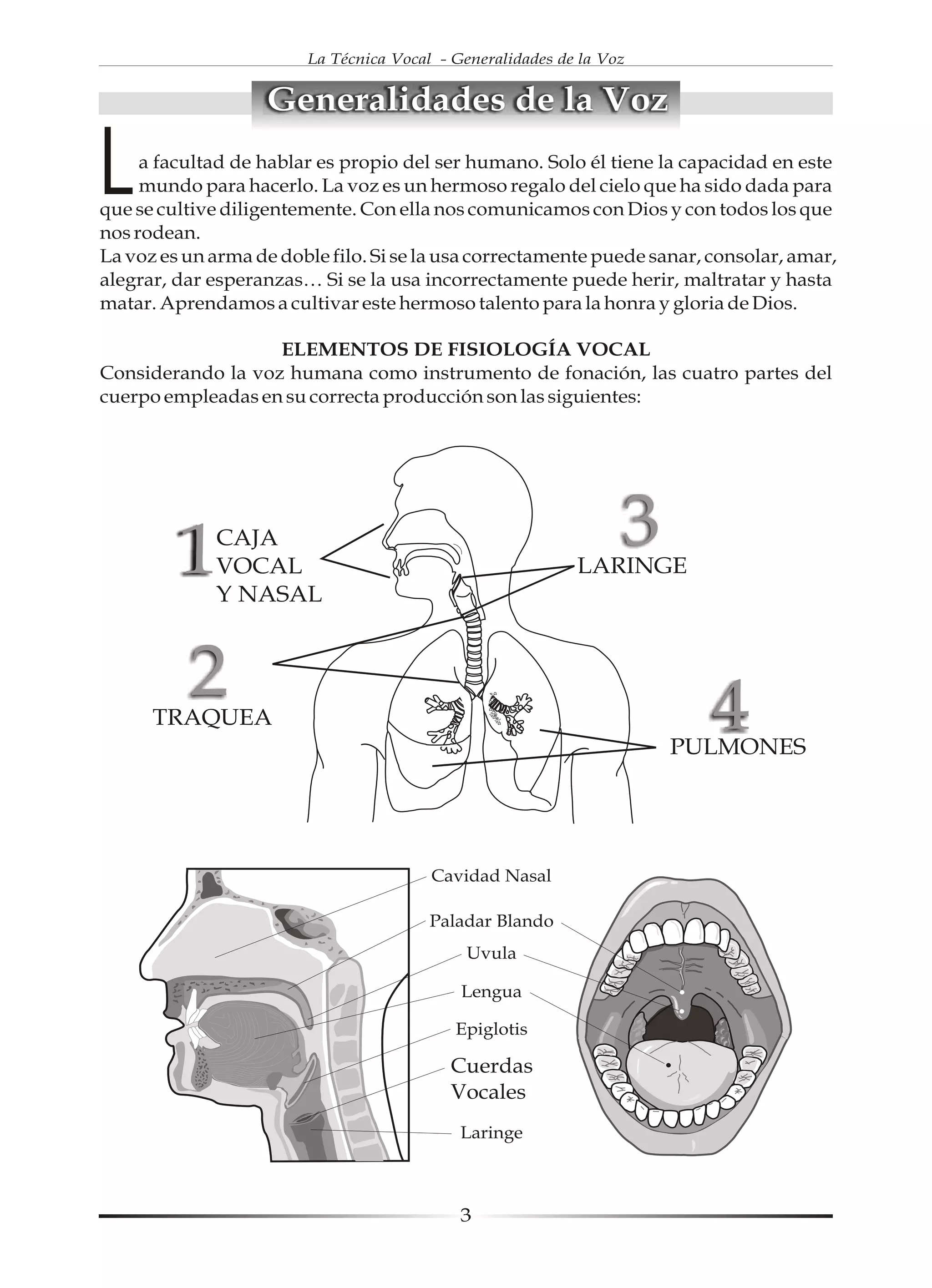 La técnica vocal | PDF