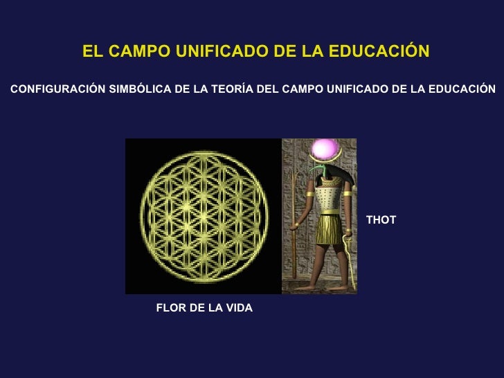 Teoria de campo unificado Teoria de campo unificado