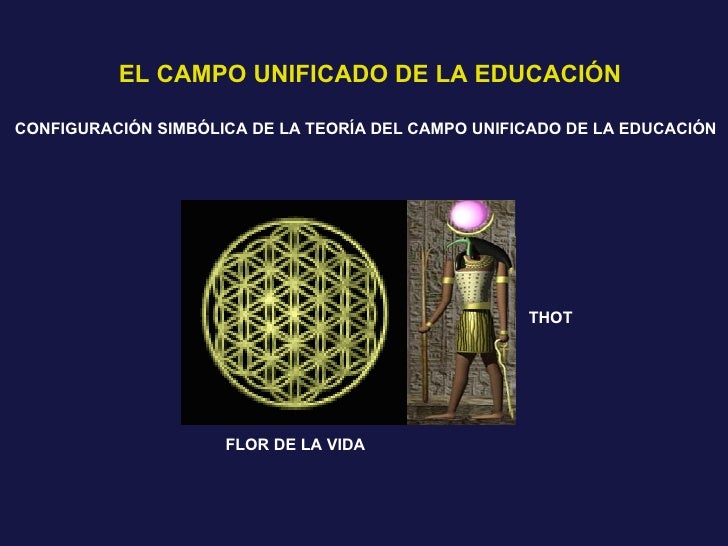 Teoria de campo unificado