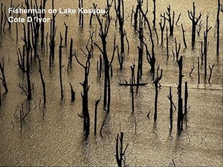 Fisherman on Lake Kossou.
Cote D 'Ivor
 
