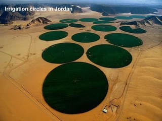 Irrigation circles in Jordan
 