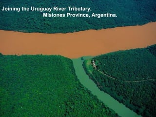 Joining the Uruguay River Tributary,
                Misiones Province, Argentina.
 