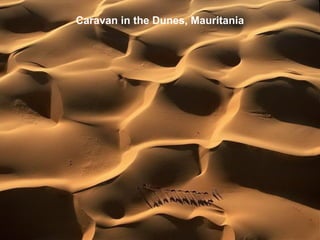 Caravan in the Dunes, Mauritania
 