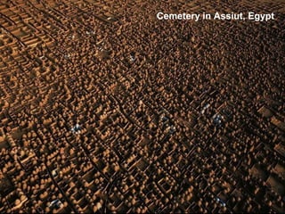 Cemetery in Assiut, Egypt
 