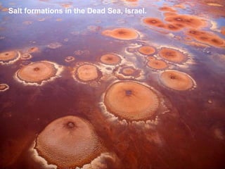 Salt formations in the Dead Sea, Israel.
 
