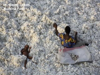 In raising cotton,
Burkina Faso
 
