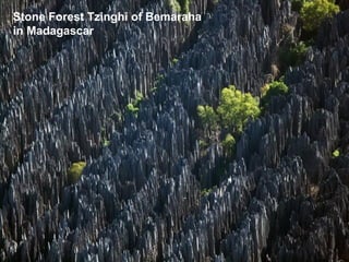 Stone Forest Tzinghi of Bemaraha
in Madagascar
 