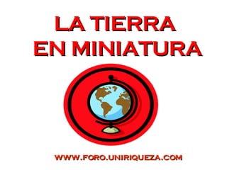 LA TIERRA  EN MINIATURA www.foro.uniriqueza.com 