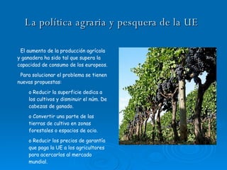 La política agraria y pesquera de la UE   El aumento de la producción agrícola y ganadera ha sido tal que supera la capacidad de consumo de los europeos. Para solucionar el problema se tienen nuevas propuestas: Reducir la superficie dedica a los cultivos y disminuir el núm. De cabezas de ganado. Convertir una parte de las tierras de cultivo en zonas forestales o espacios de ocio. Reducir los precios de garantía que paga la UE a los agricultores para acercarlos al mercado mundial. 