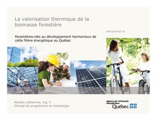 La valorisation thermique de la
biomasse forestière

Paramètres-clés au développement harmonieux de
cette filière énergétique au Québec




Nicolas Laflamme, ing. f.
Chargé de programme en bioénergie
 