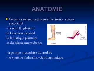 ANATOMIE Le retour veineux est assuré par trois systèmes successifs : - la semelle plantaire  de Lejars qui dépend  de la statique plantaire et du déroulement du pas - la pompe musculaire du mollet. - le système abdomino-diaphragmatique. 
