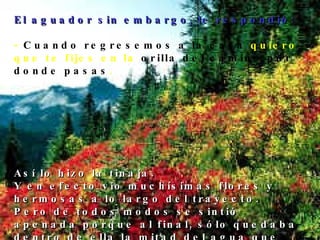El aguador sin embargo, le respondió: -  Cuando regresemos a la casa  quiero que te fijes en la  orilla del camino por donde pasas .  Así lo hizo la tinaja.  Y en efecto vio muchísimas flores y hermosas a lo largo del trayecto.  Pero de todos modos se sintió apenada porque al final, sólo quedaba dentro de ella la mitad del agua que debía llevar.  