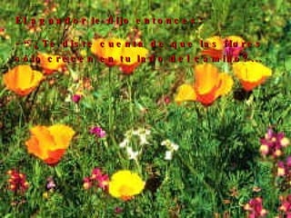 El aguador le dijo entonces: - “¿Te diste cuenta de que las flores sólo crecen en tu lado del camino?...   