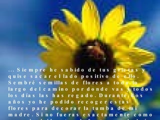 ...  Siempre he sabido de tus grietas y quise sacar el lado positivo de ello. Sembré semillas de flores a todo lo largo del camino por donde vas y todos los días las has regado. Durante dos años yo he podido recoger estas flores para decorar la tumba de mi madre. Si no fueras exactamente como eres, incluidos tus defectos, no habría sido posible crear esta belleza. 