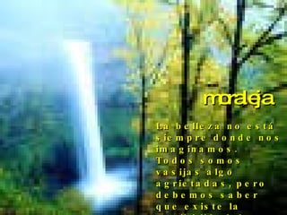 La belleza no está siempre donde nos imaginamos.  Todos somos vasijas algo agrietadas, pero debemos saber que existe la posibi-lidad de aprovechar las grietas para obtener buenos resultados.  moraleja 