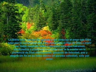 La Biblia dice que fue tan grande y tan inmenso el amor que Dios tubo por la humanidad que vino Jesucristo el Hijo de Dios a morir por todas nuestras fallas y pecados para que fuéramos perdonados y pudiéramos acceder por la fe a estar en la presencia de Dios eternamente, gozando de felicidad, paz y alegría sin fin en su reino eterno (el paraíso celestial), solo por amor. 