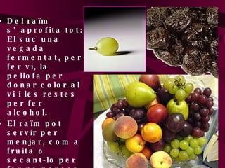 Del raïm s’aprofita tot: El suc una vegada fermentat, per fer vi, la pellofa per donar color al vi i les restes per fer alcohol. El raïm pot servir per menjar, com a fruita o secant-lo per fer-ne panses 