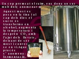 Un cop premsat el raïm, ens dona un suc molt dolç anomenat  most. Aquest most es posa en la tina i al cap dels dies el sucre es transforma en alcohol, augmenta la temperatura i desprèn  CO 2  amb l'ajut dels  llevats, deixant de ser most i convertint-se en vi.Aquets procés s’anomena:  fermentació . 