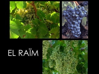 EL RAÏM 
