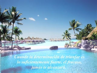 Cuando la determinación de triunfar es
 lo suficientemente fuerte, el fracaso,
          jamás te alcanzará.
 