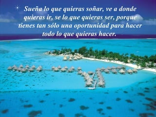 Sueña lo que quieras soñar, ve a donde
  quieras ir, se lo que quieras ser, porque
tienes tan sólo una oportunidad para hacer
         todo lo que quieras hacer.
 