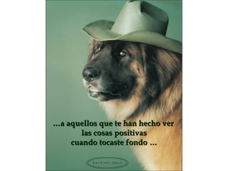 … a aquellos que te han hecho ver  las cosas positivas cuando tocaste fondo … 