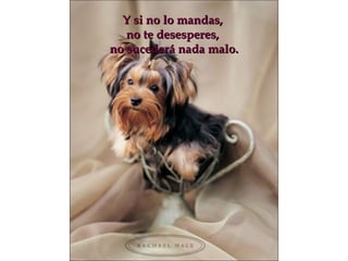 Y si no lo mandas,  no te desesperes,  no sucederá nada malo. 