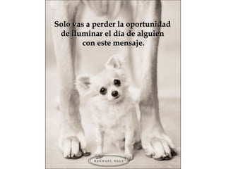 Solo vas a perder la oportunidad  de iluminar el día de alguien  con este mensaje. 