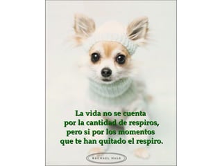 La vida no se cuenta  por la cantidad de respiros, pero si por los momentos  que te han quitado el respiro. 