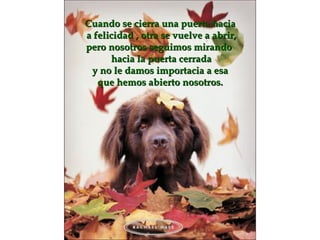 Cuando se cierra una puerta hacia  a felicidad  ,  o tra se vuelve a abrir , pero nosotros seguimos mirando  hacia la puerta cerrada y no le damos importacia a esa  que hemos abierto nosotros.  