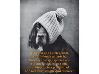 Sueña eso que quieres soñar,  ve allí donde quieres ir, busca ser eso que quieres ser. Por que la vida es una sola  y existe solo una posibilidad  de hacer las cosas que quieres hacer. 