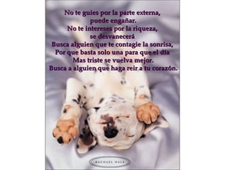No te guies por la parte externa,  puede engañar . No te intereses por la riqueza,  se desvanecerá  Busca alguien que te contagie la sonrisa,  Por que basta solo una para que el día  Mas triste se vuelva mejor. Busca a alguien que haga reir a tu corazón. 