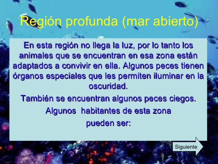 La Vida en el Mar