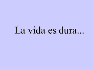 La vida es dura... 