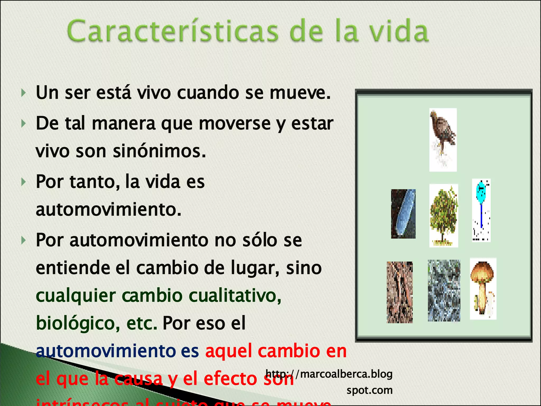 la Vida y sus grados | PPT
