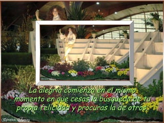 La alegría comienza en el mismo momento en que cesas la búsqueda de tu propia felicidad y procuras la de otros. 