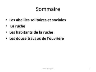 Sommaire
• Les abeilles solitaires et sociales
• La ruche
• Les habitants de la ruche
• Les douze travaux de l’ouvrière
Didier Bourgeois 2
 