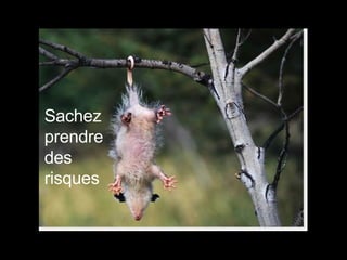 Sachez prendre des risques 