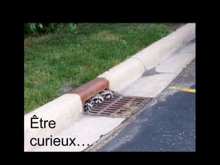 Être curieux… 