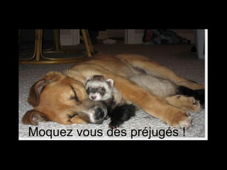 Moquez vous des préjugés ! 