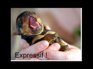 Expressif ! 