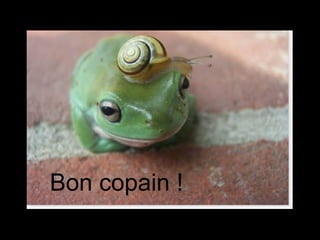 Bon copain ! 