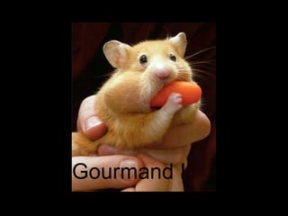 Gourmand ! 
