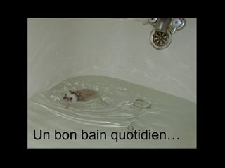 Un bon bain quotidien… 