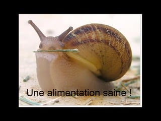 Une alimentation saine ! 