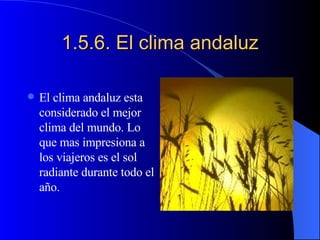 1.5.6. El clima andaluz El clima andaluz esta considerado el mejor clima del mundo. Lo que mas impresiona a los viajeros es el sol radiante durante todo el año. 