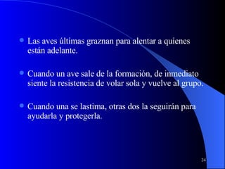 Las aves últimas graznan para alentar a quienes están adelante. Cuando un ave sale de la formación, de inmediato siente la resistencia de volar sola y vuelve al grupo. Cuando una se lastima, otras dos la seguirán para ayudarla y protegerla. 