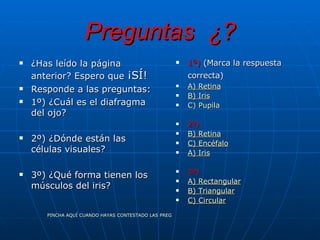 Preguntas  ¿? ¿Has leído la página  anterior? Espero que  ¡SÍ! Responde a las preguntas: 1º) ¿Cuál es el diafragma  del ojo? 2º) ¿Dónde están las células visuales? 3º) ¿Qué forma tienen los músculos del iris? 1º)  (Marca la respuesta correcta)   A) Retina B) Iris C) Pupila 2º) B) Retina C) Encéfalo A) Iris 3º) A) Rectangular B) Triangular C) Circular PINCHA AQUÍ CUANDO HAYAS CONTESTADO LAS PREGUNTAS 