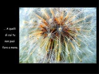…  A quelli  di cui tu non puoi  fare a meno. 