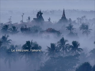 …  Le emozioni, l’amore! 
